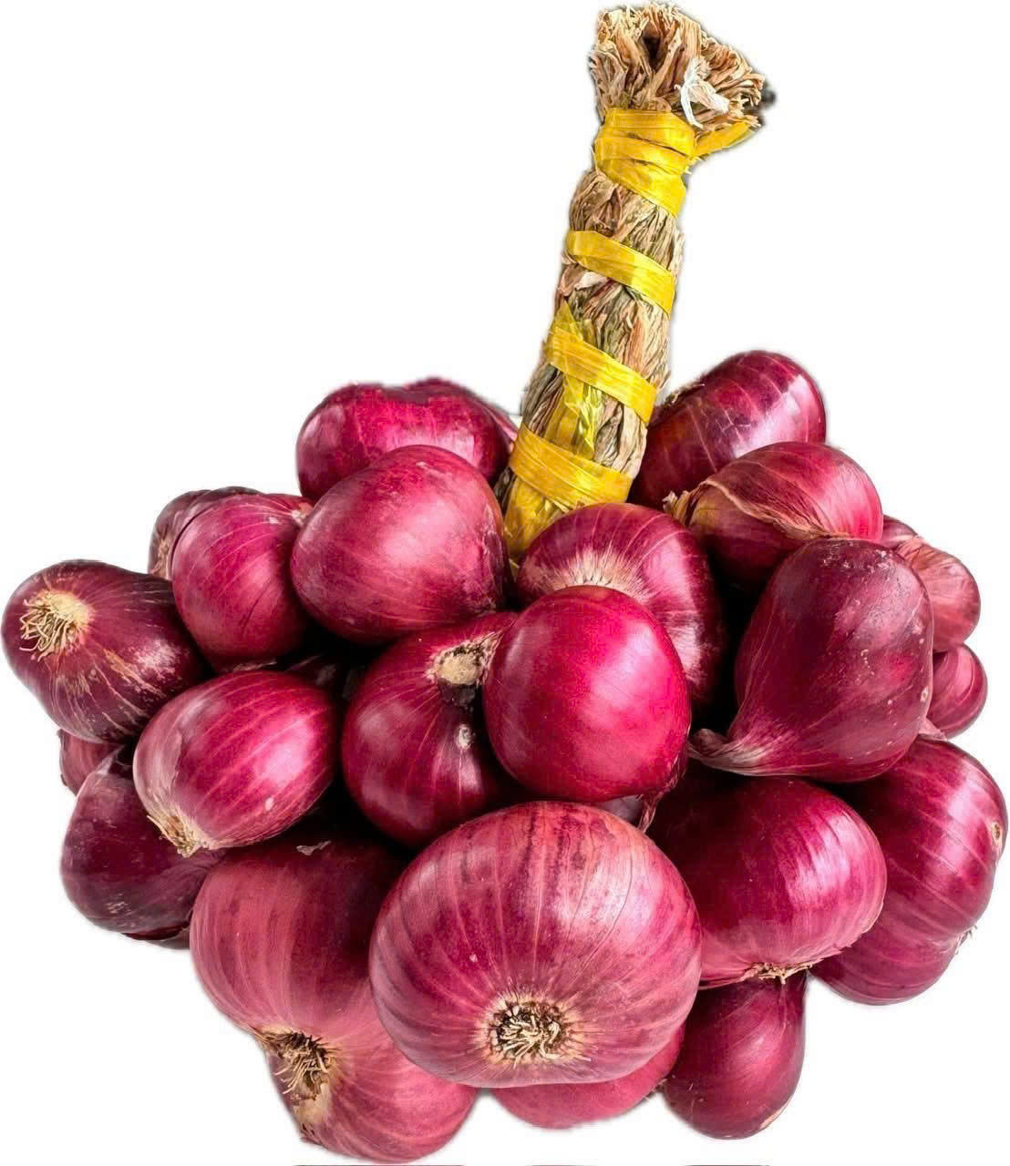 2aOboQfjOZBJiPZcob50ZLmOITZxHcbrY9J17SaW 2aOboQfjOZBJiPZcob50ZLmOITZxHcbrY9J17SaW